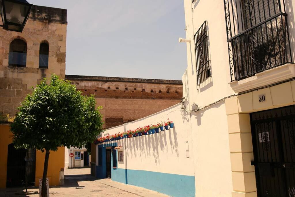 Calle San Basilio - Patios. Aparcamiento Gratis Daire Cordoba Dış mekan fotoğraf